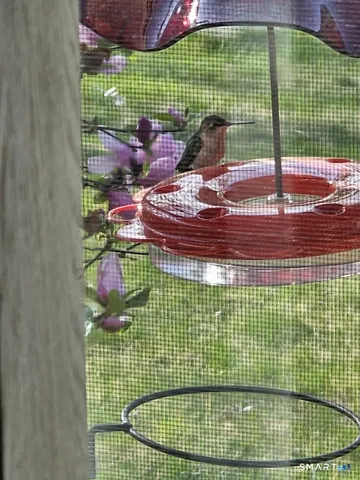 a view of a tennis court with a basket ball court