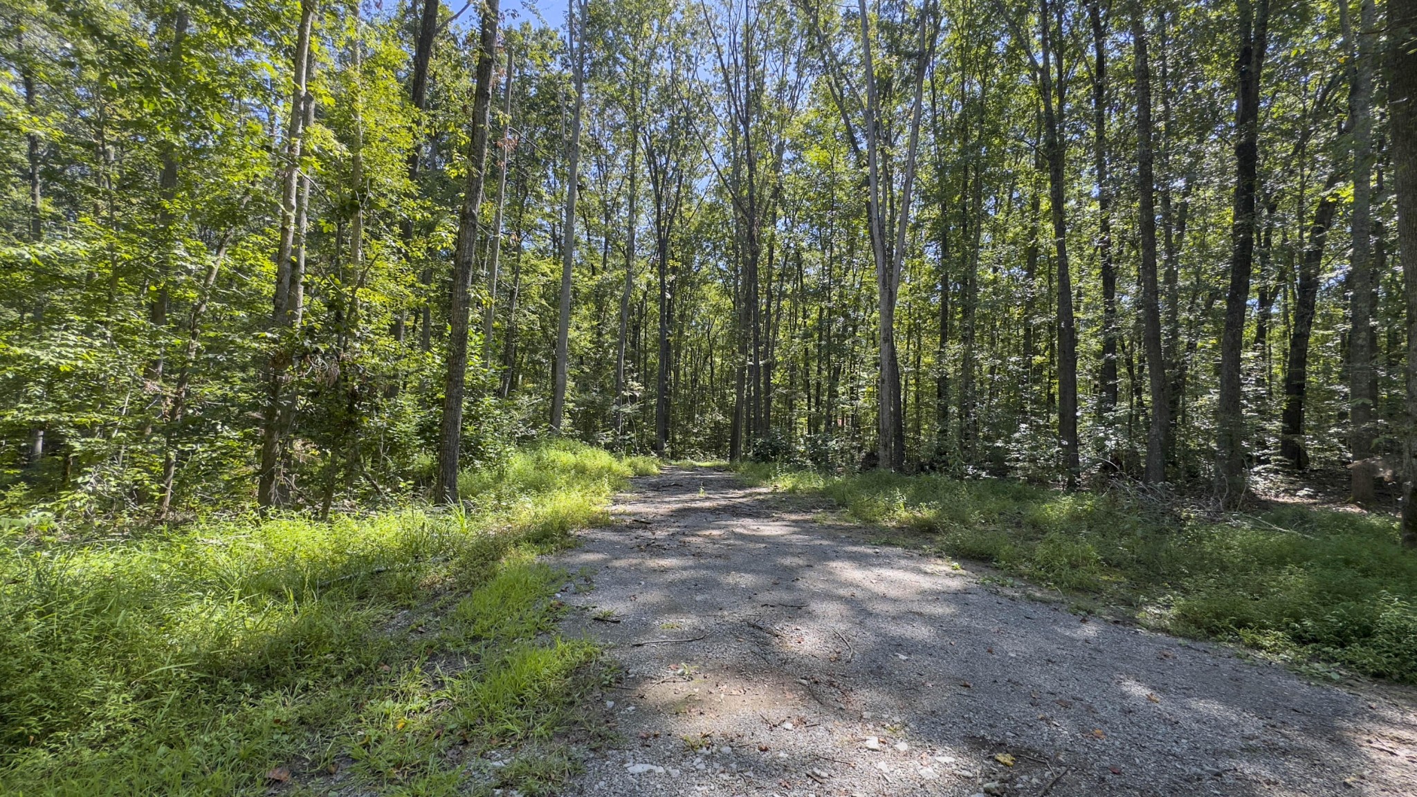 286 Clifton Cemetery Road Spring City, TN 37381 - Photo 1 of 19