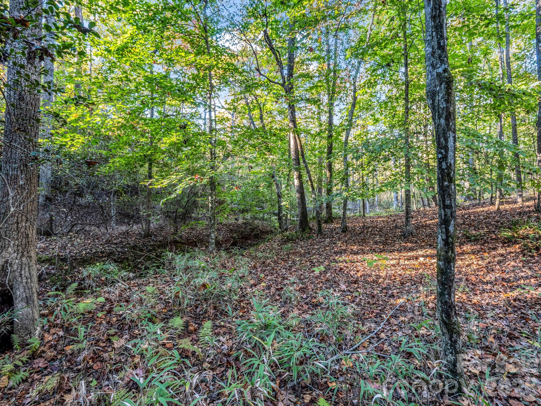 663 Landrum Road Columbus, NC 28722 - Photo 30 of 42 Gallery Image 30
