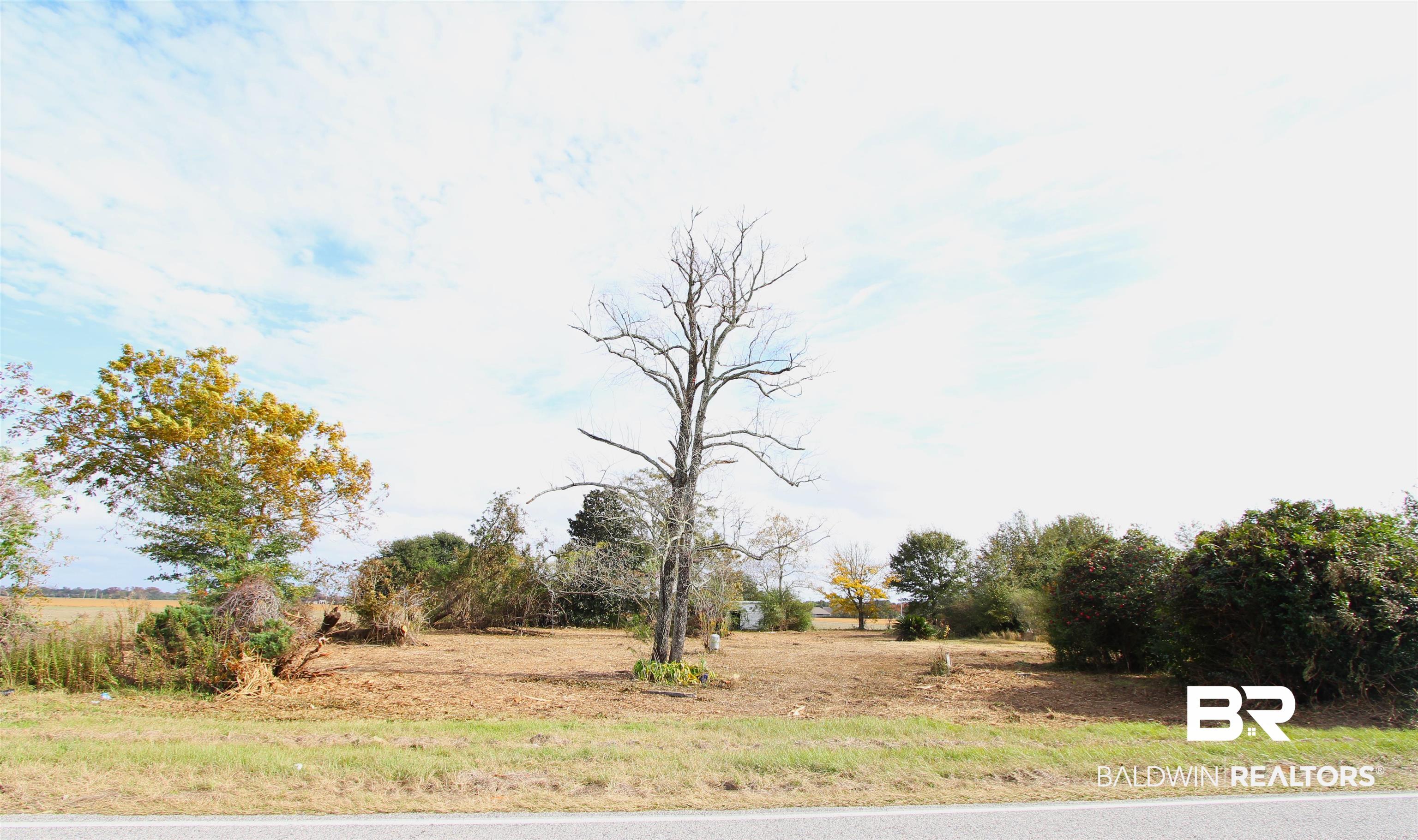 15274 Daugherty Road Foley, AL 36535 - Photo 1 of 5 Beautifull Lot