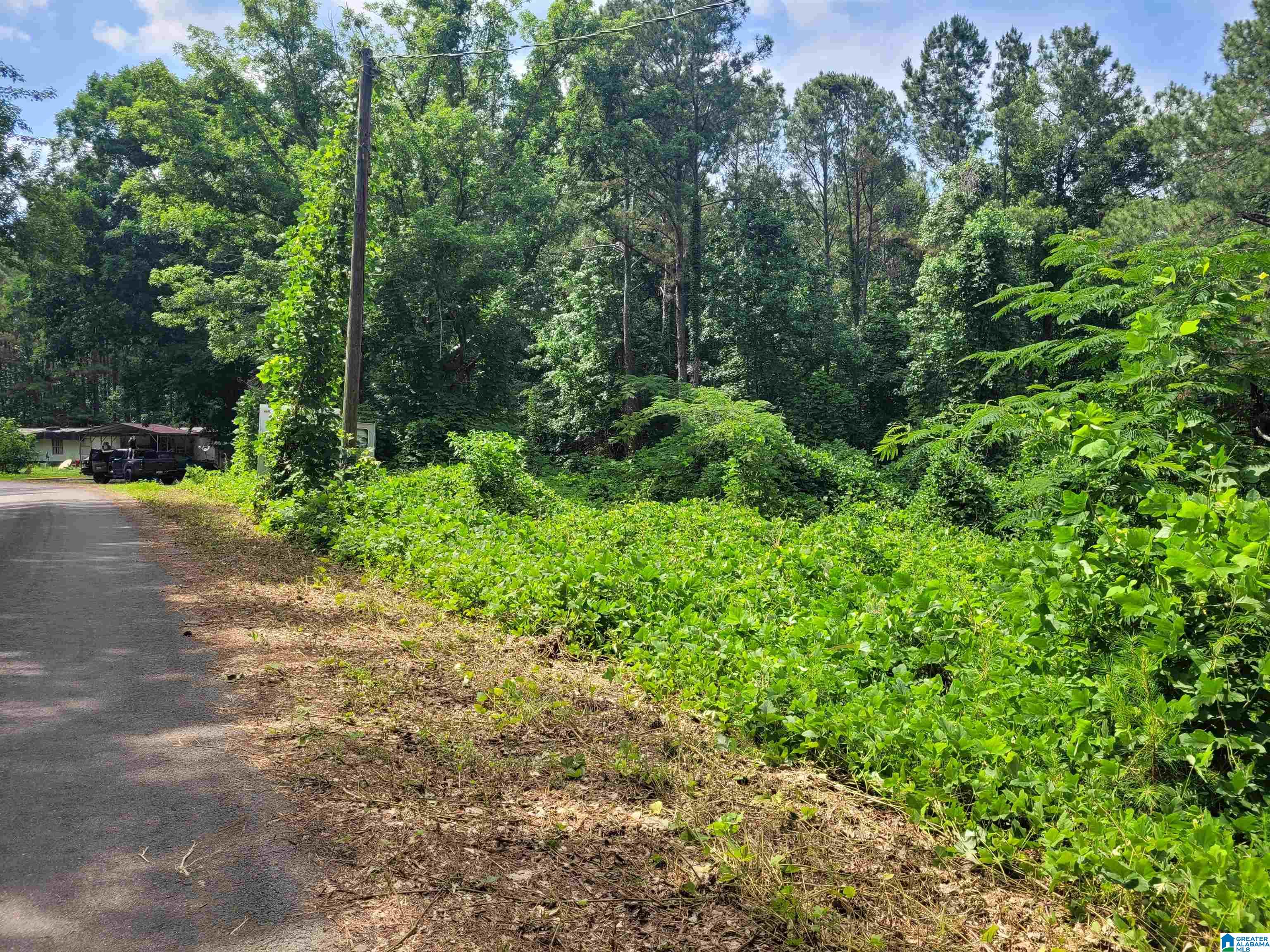 2952 Lehigh Road Trafford, AL 35172 - Photo 1 of 1