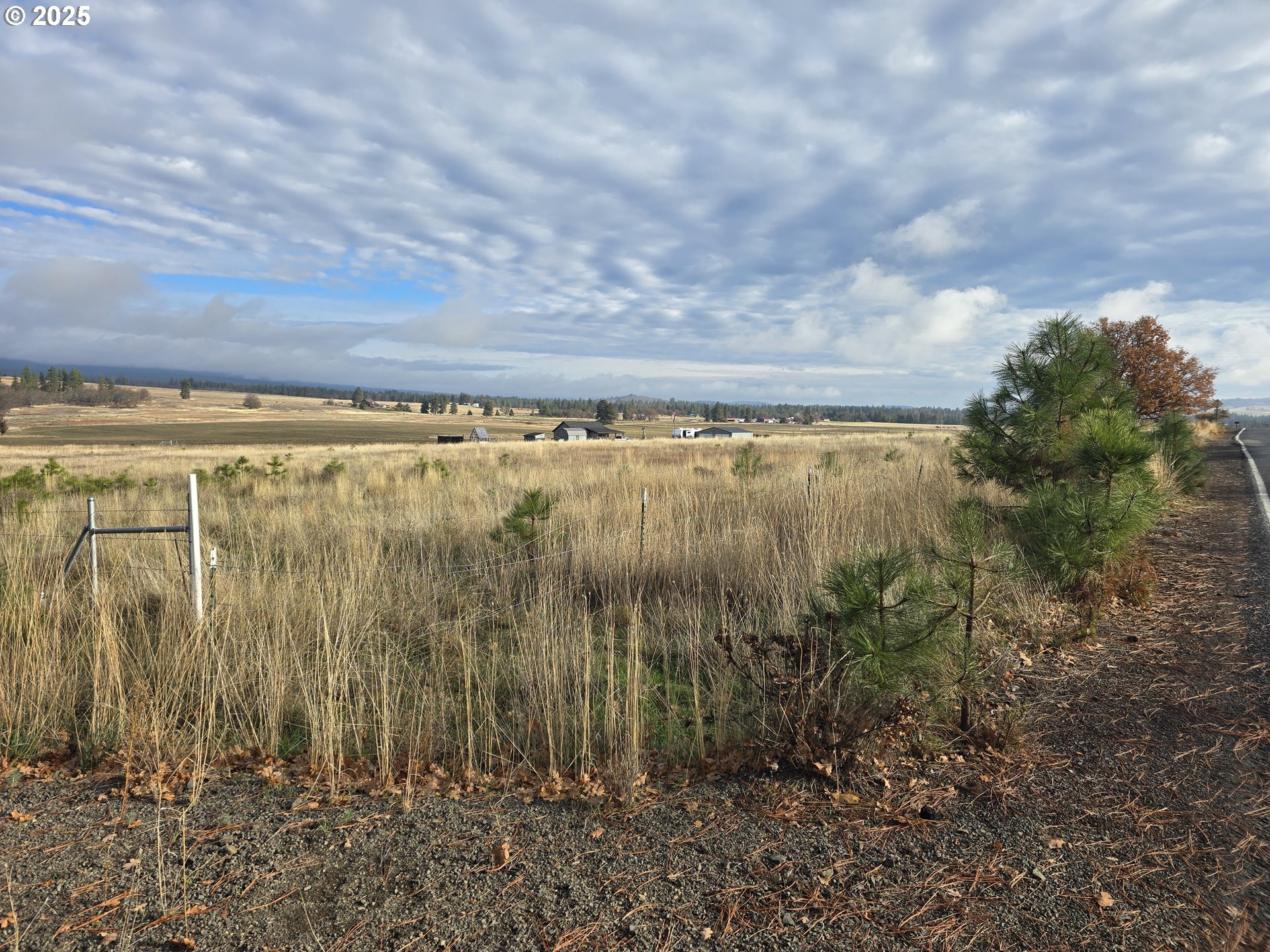 505 Foster Road Goldendale, WA 98620 - Photo 7 of 12 a view of a garden