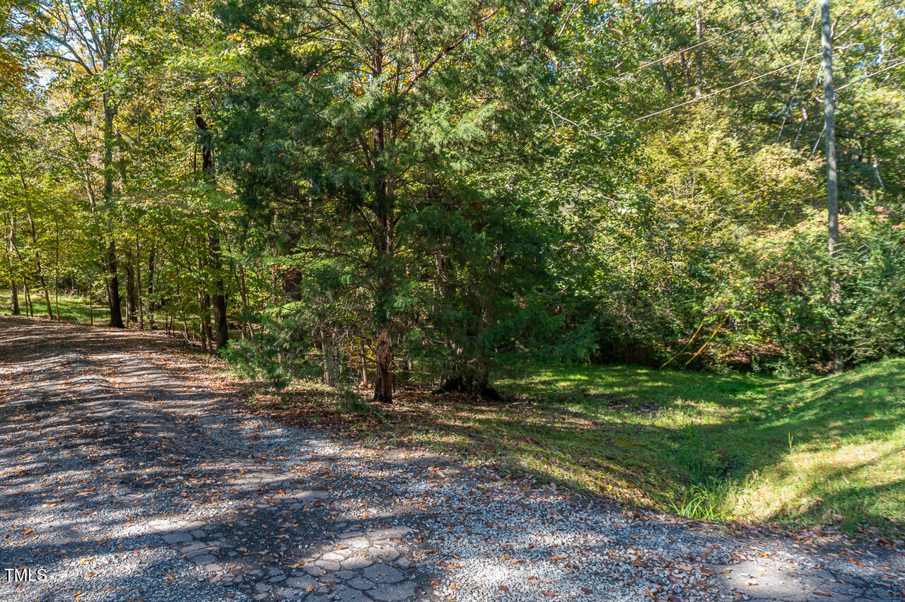 3946 Nottaway Road Durham, NC 27707 - Photo 3 of 12 a view of outdoor space with trees all around