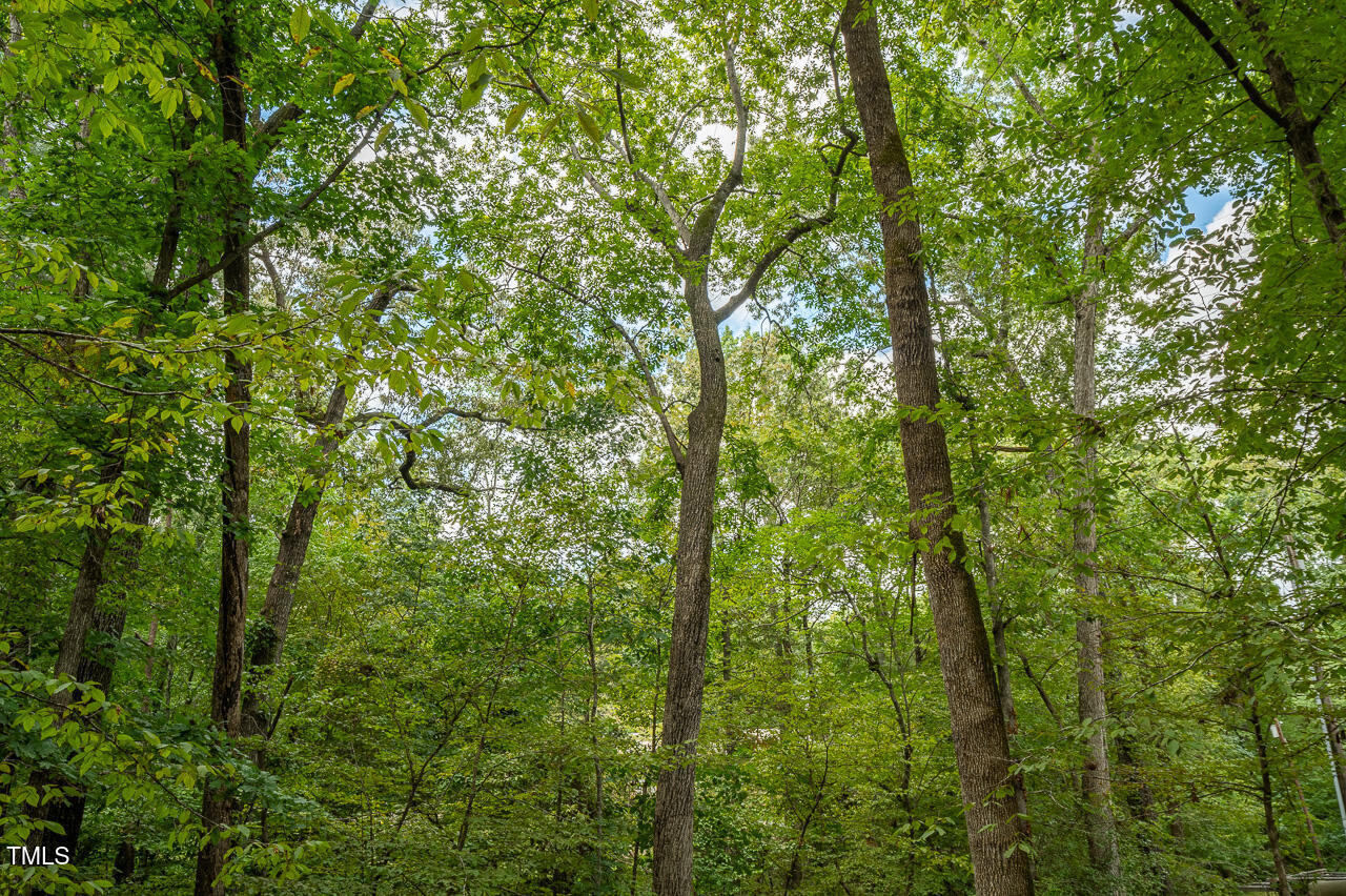 3946 Nottaway Road Durham, NC 27707 - Photo 7 of 12 a view of a lush green forest
