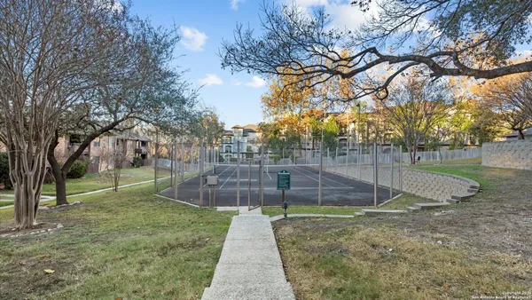 a view of a park with large trees