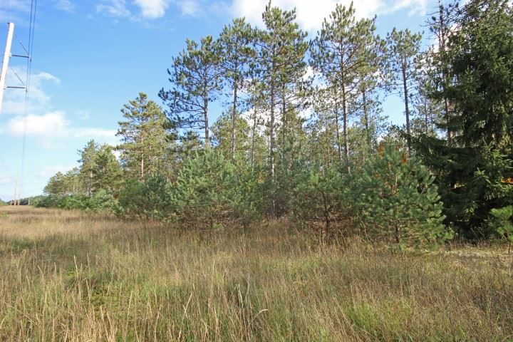 3550 Bowerman Road Kingsley, MI 49649 - Photo 13 of 13 1824898-12.JPG