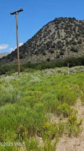 a view of a tall building with a yard