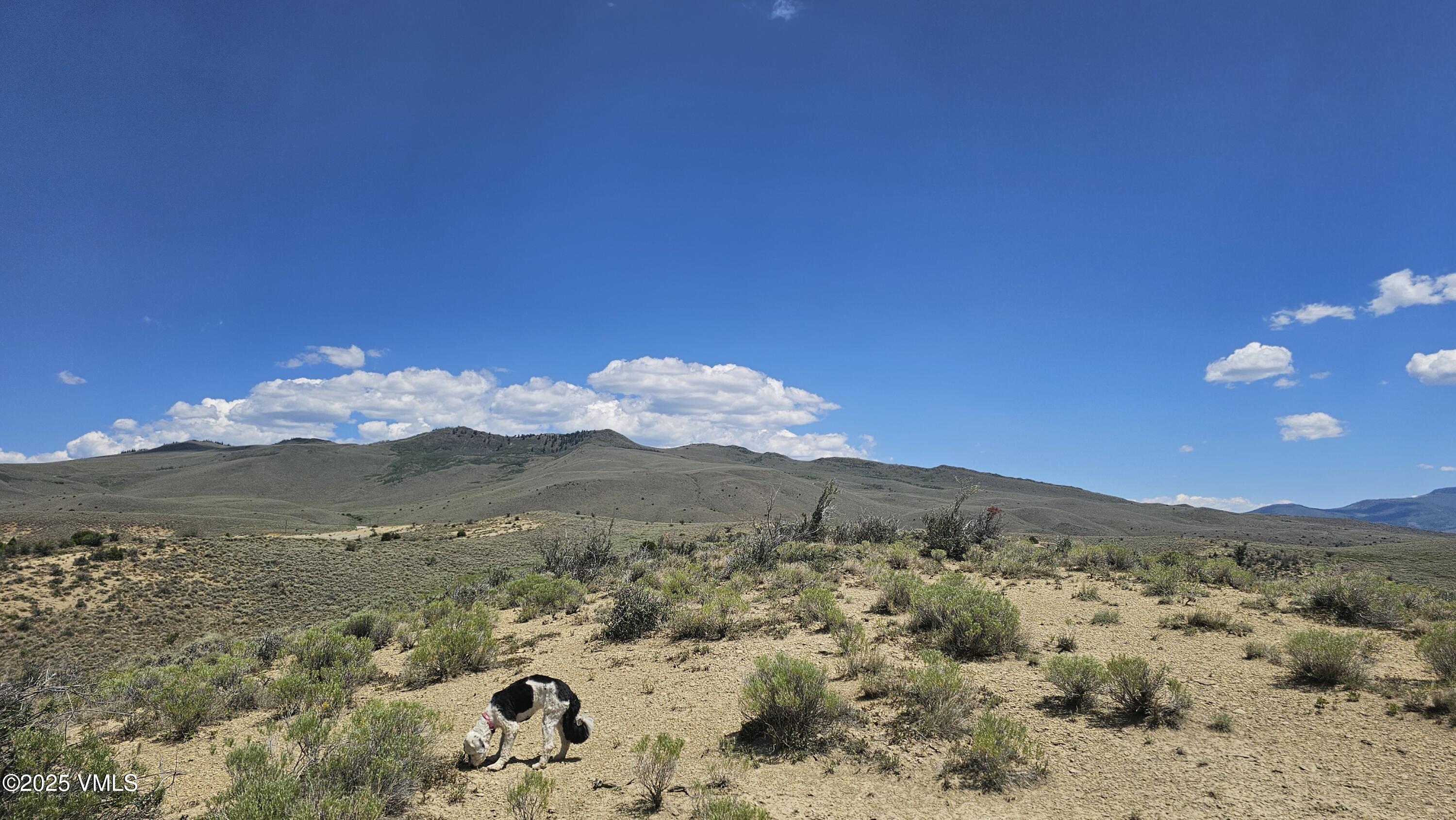 1 Horse Mountain Ranch Road Wolcott, CO 81655 - Photo 32 of 49 a view of a mountain from a yard