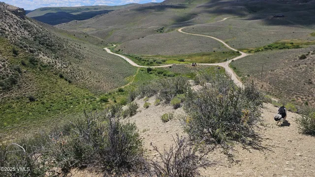 a view of a dry yard
