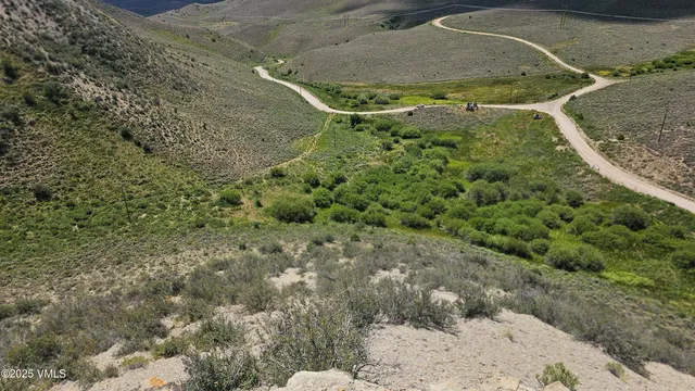 a view of a dry yard with lots of green space