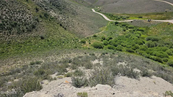 a view of a dry yard