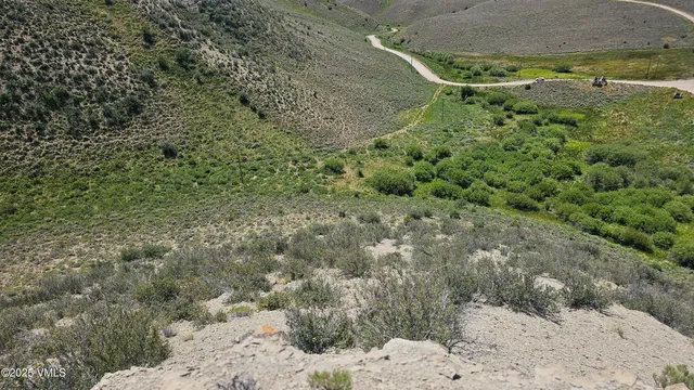 a view of a dry yard