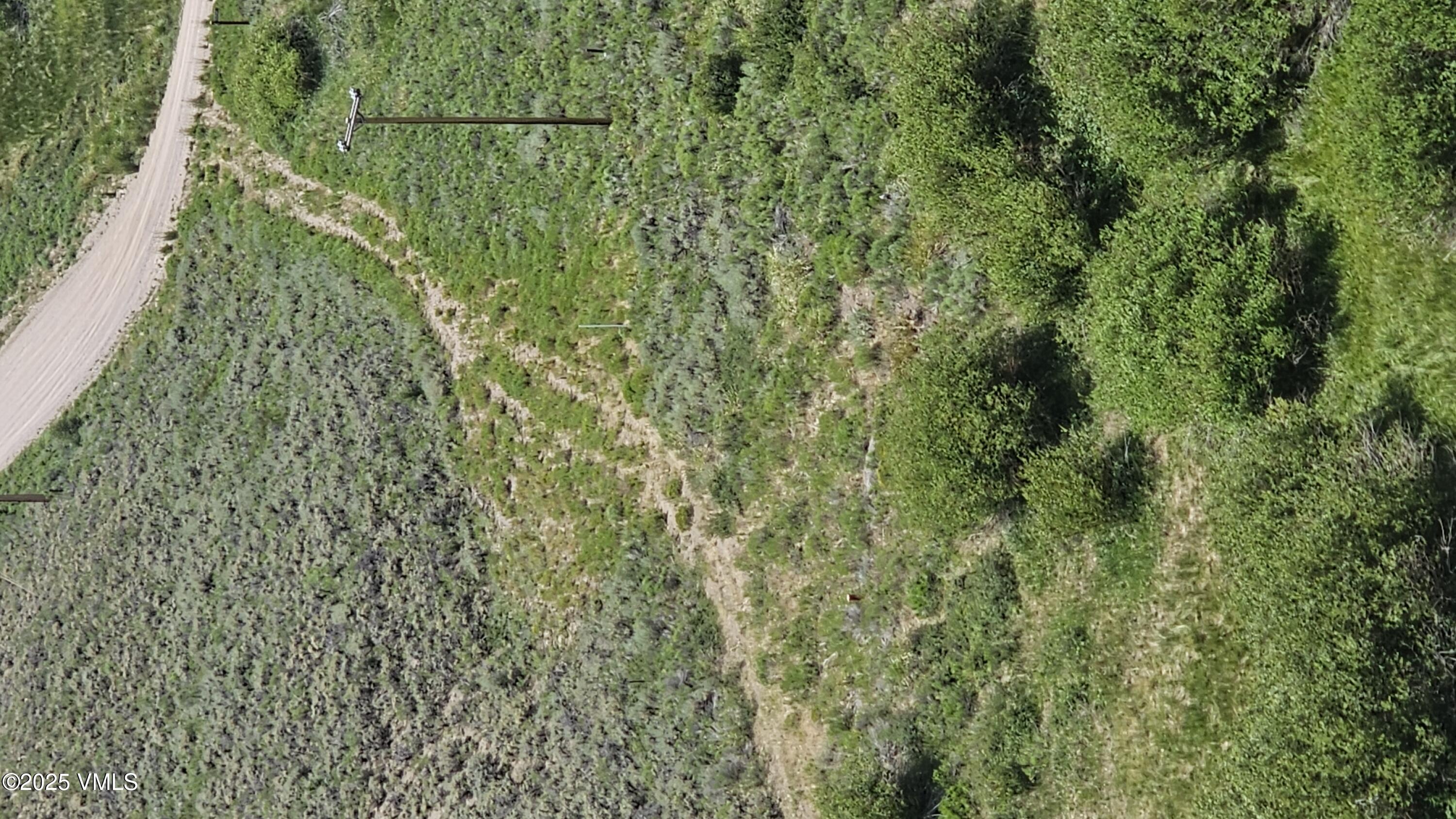 1 Horse Mountain Ranch Road Wolcott, CO 81655 - Photo 41 of 49 a view of a lush green forest