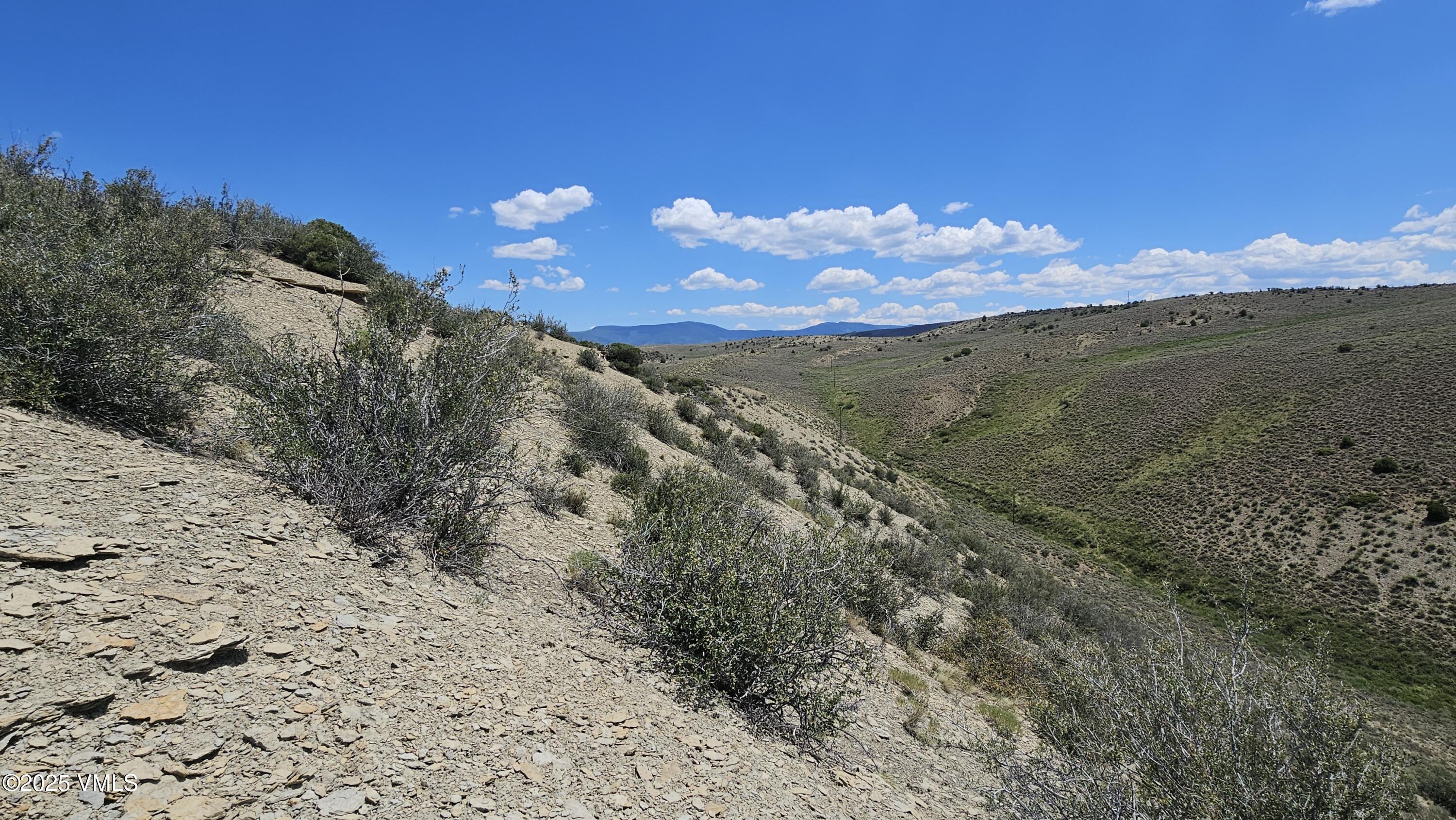 1 Horse Mountain Ranch Road Wolcott, CO 81655 - Photo 44 of 49 a view of a yard with a tree in back