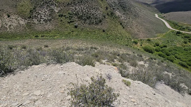 a view of a dry yard with trees