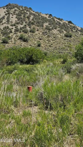 a view of a large building with a lush green forest