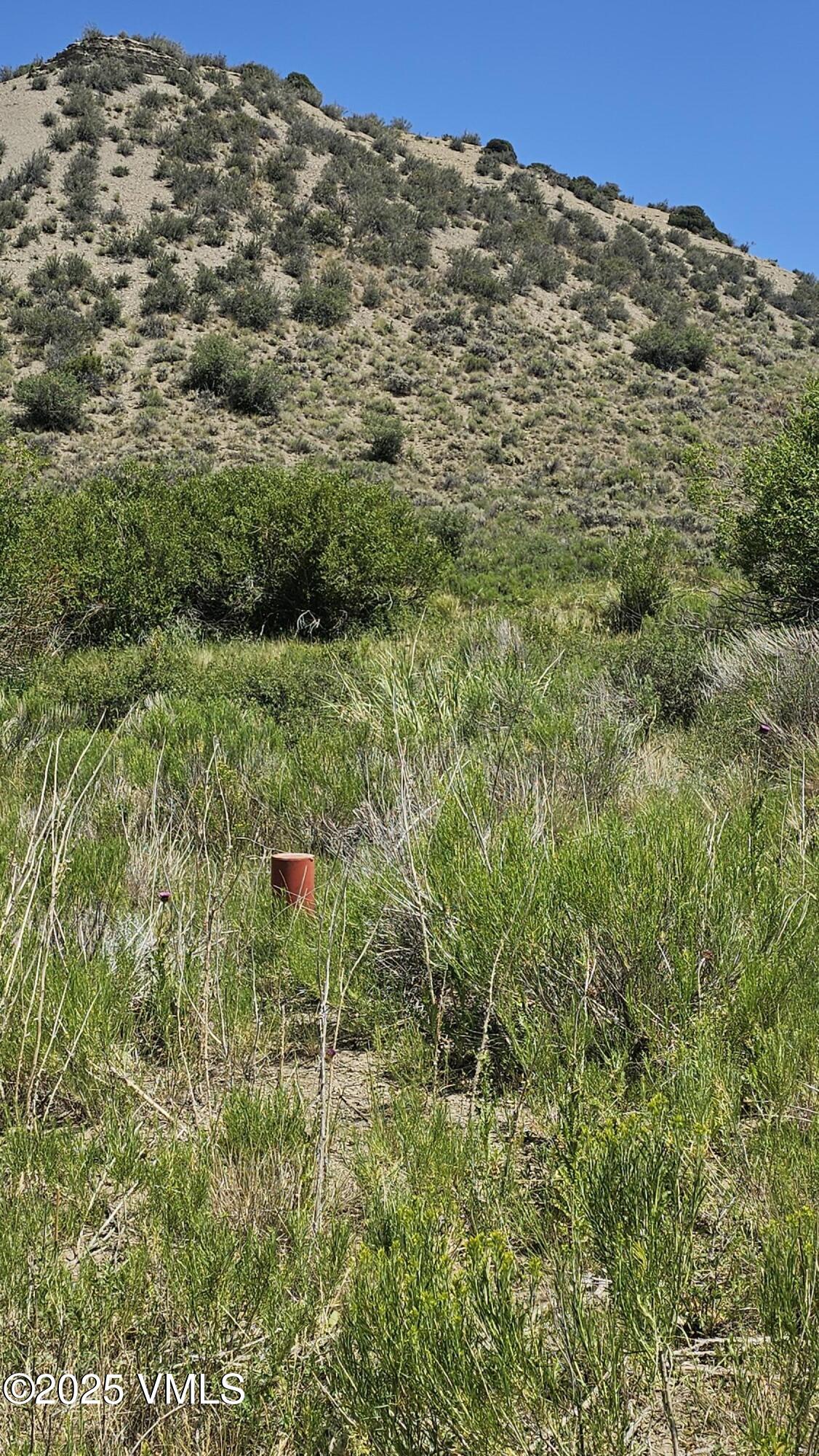1 Horse Mountain Ranch Road Wolcott, CO 81655 - Photo 5 of 49 a view of a large building with a lush green forest