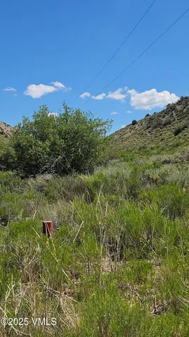 a view of a lush green mountain in the background
