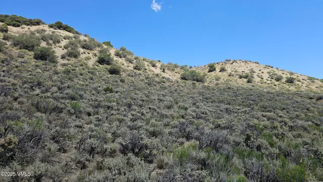 a view of a large trees