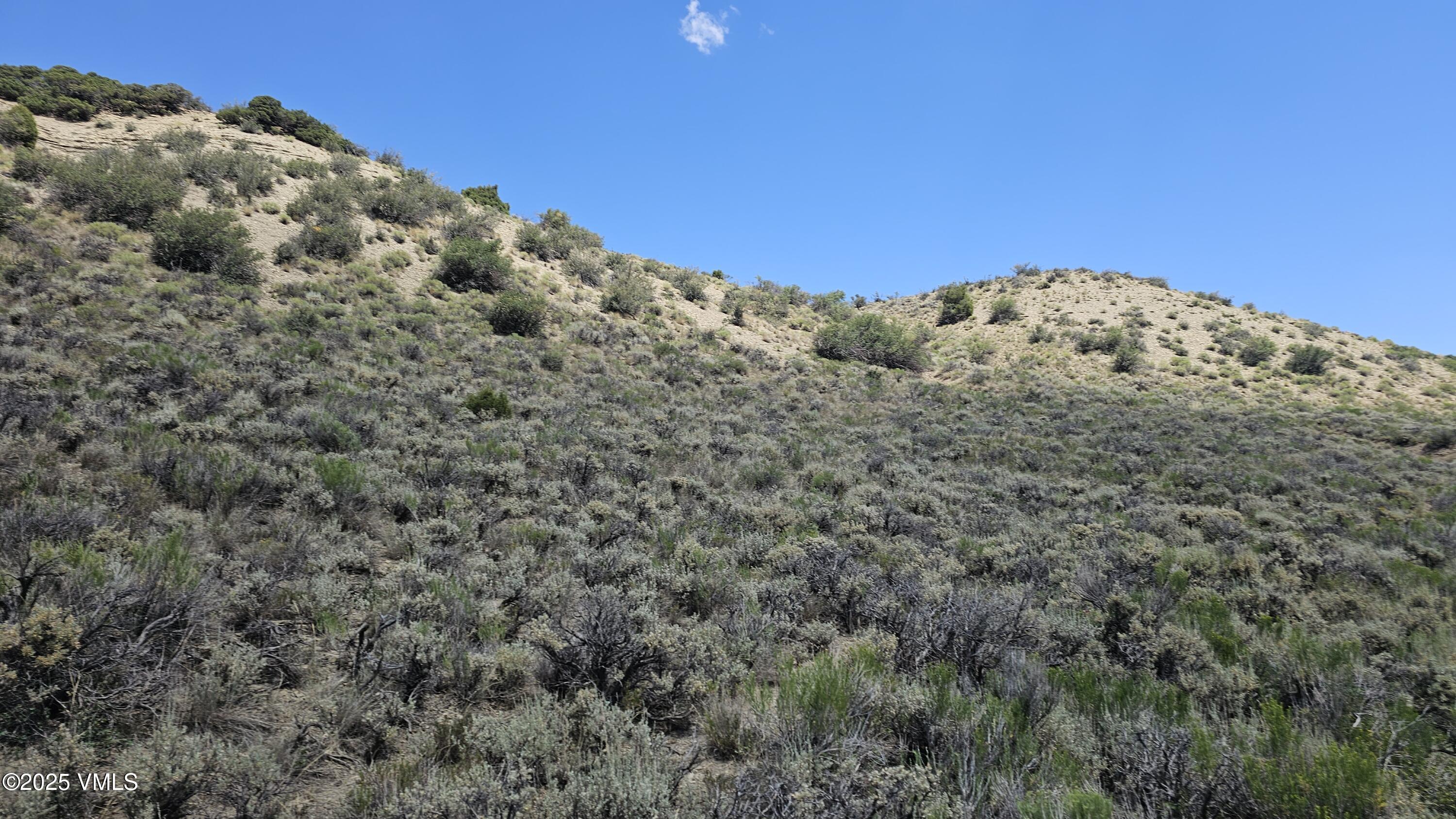 1 Horse Mountain Ranch Road Wolcott, CO 81655 - Photo 10 of 49 a view of a large trees