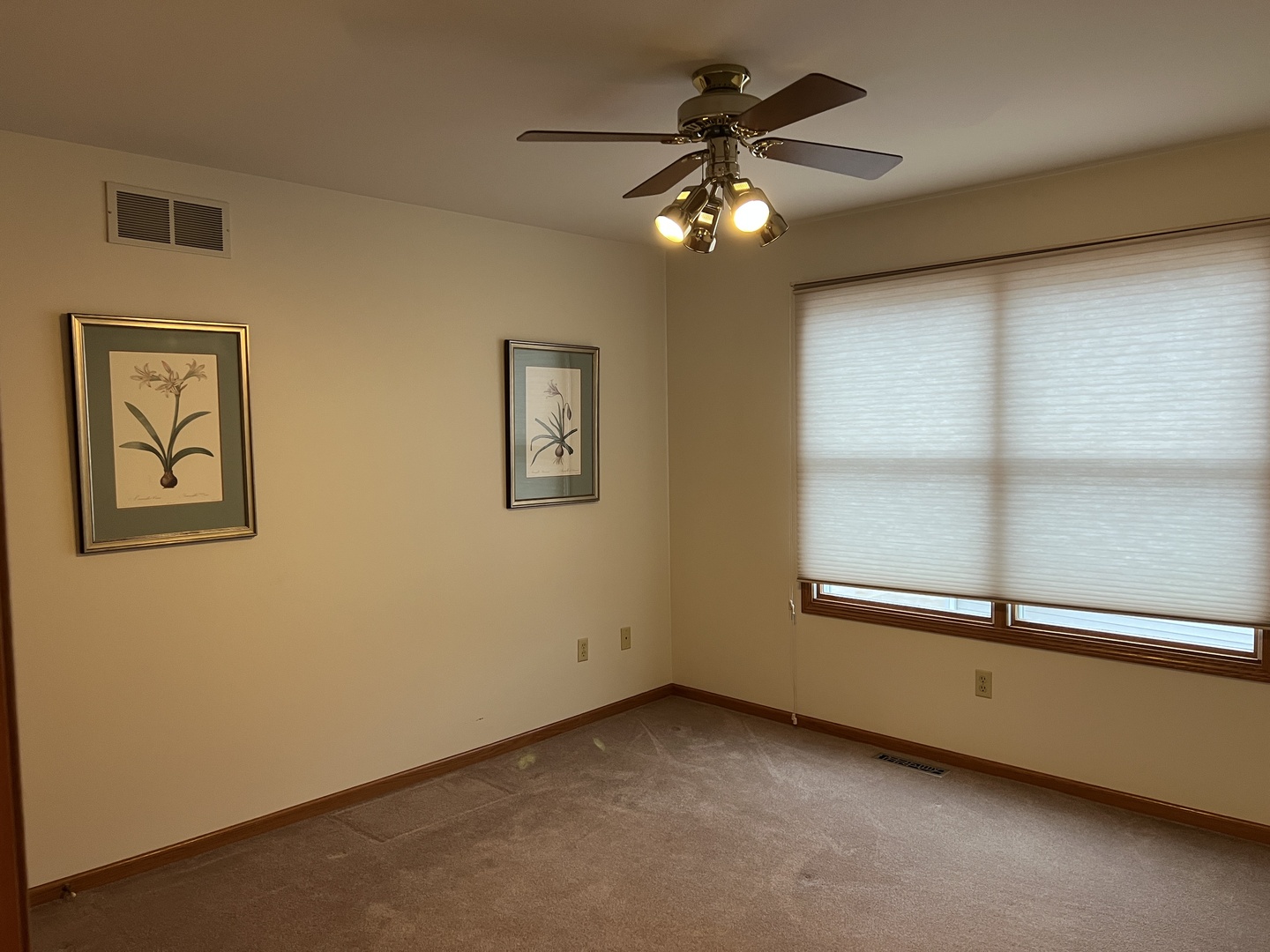 1117 McCall Court Rochelle, IL 61068 - Photo 12 of 25 Gallery Image 12