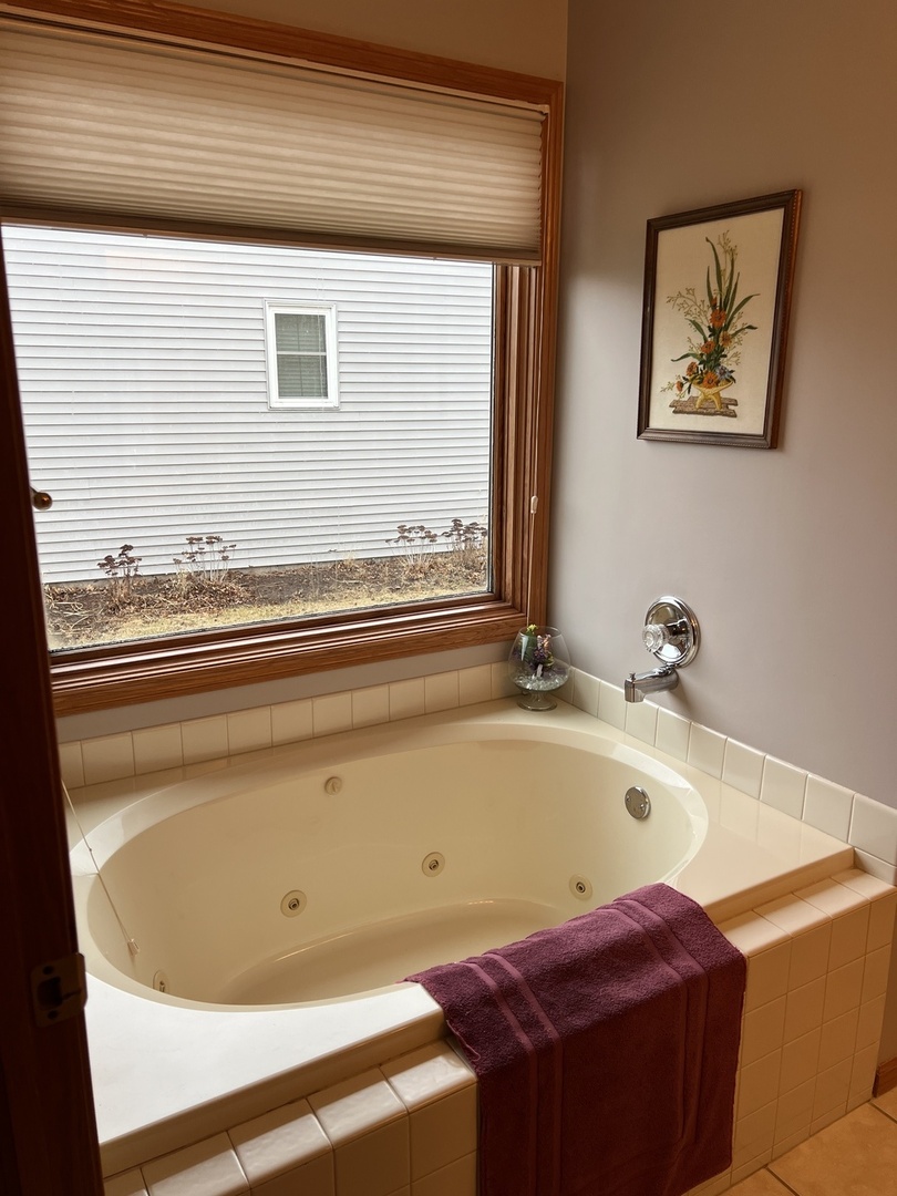 1117 McCall Court Rochelle, IL 61068 - Photo 16 of 25 Gallery Image 16