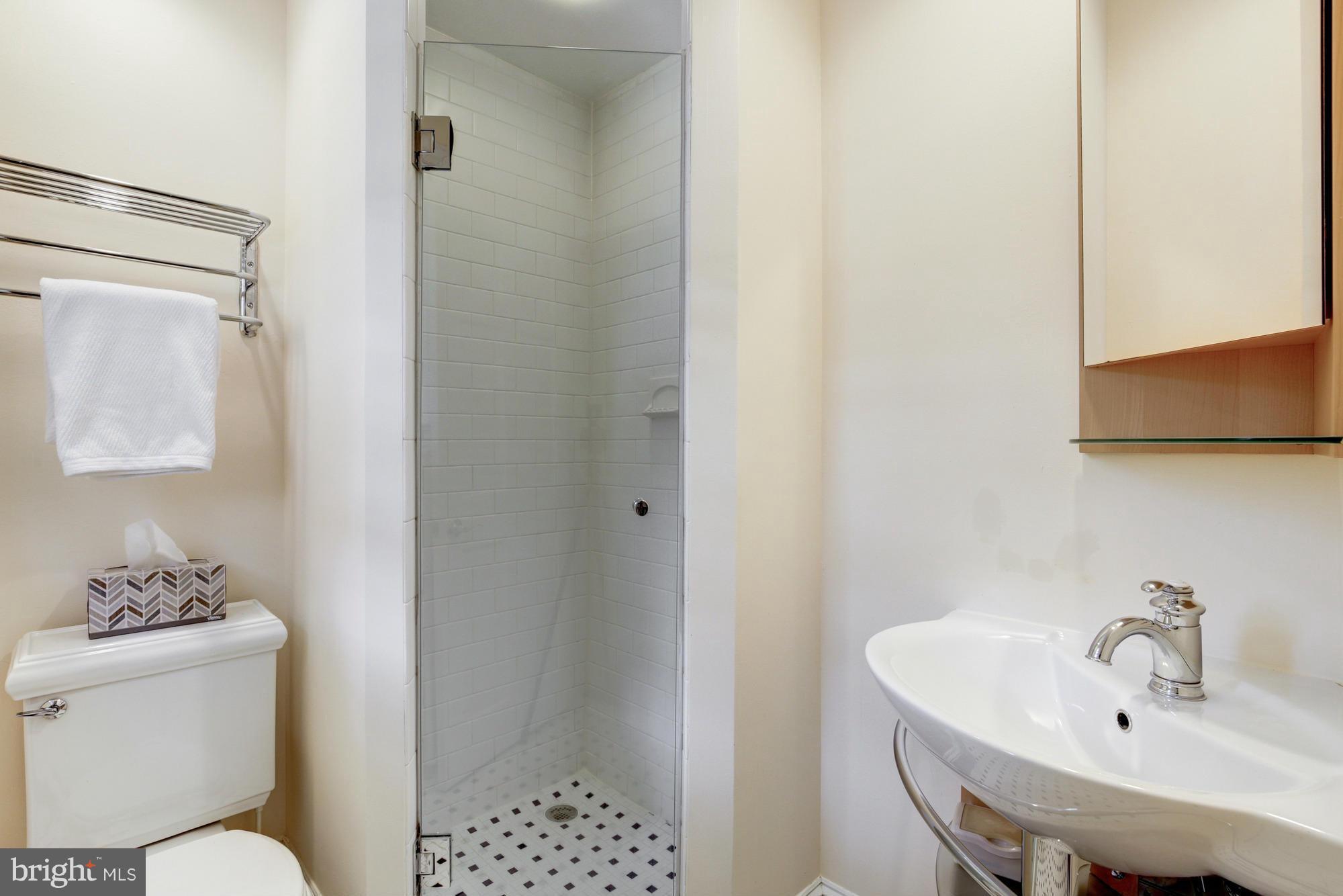 137 D Street Southeast Washington, DC 20003 - Photo 23 of 27 a bathroom with a sink a toilet and shower