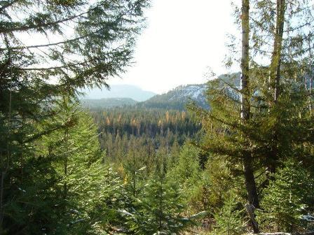 2295-a Rd Clark Fork Clark Fork, ID 83811 - Photo 1 of 1 TBD Off USFS Rd