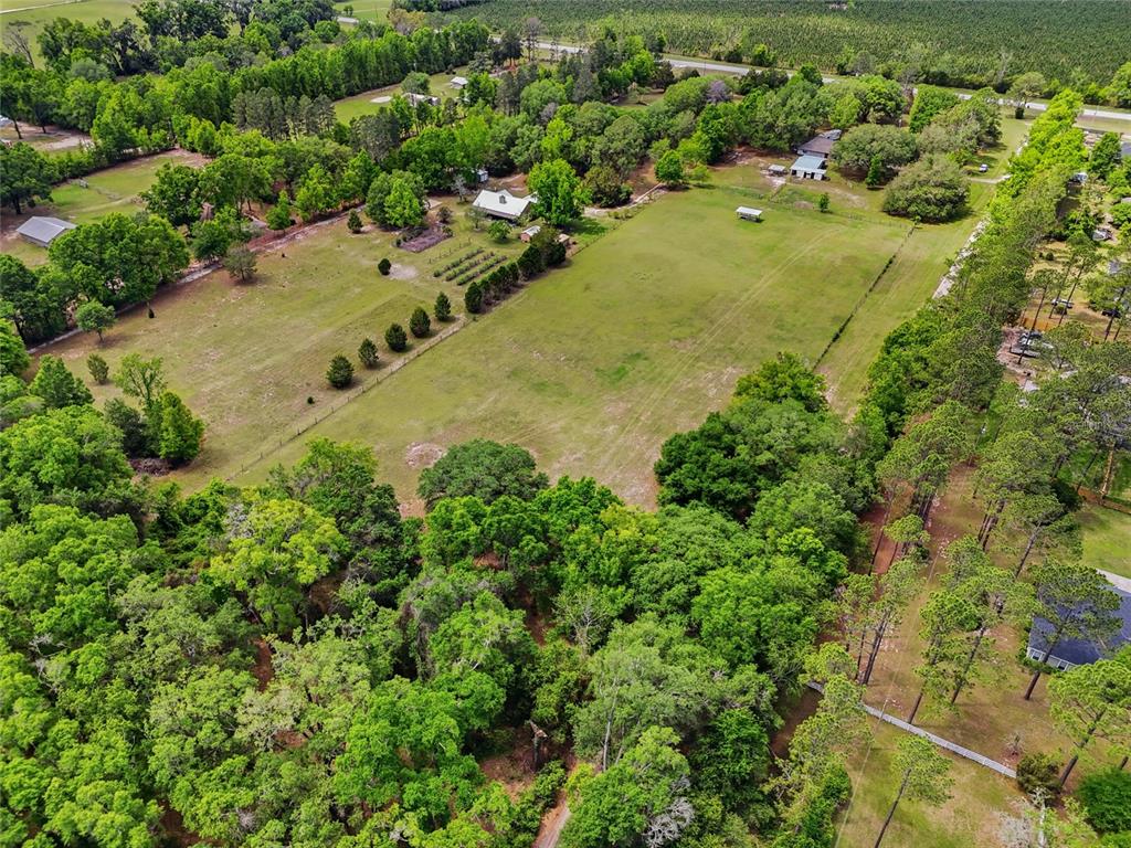 15315 Highway 45 High Springs, FL 32643 - Photo 28 of 28