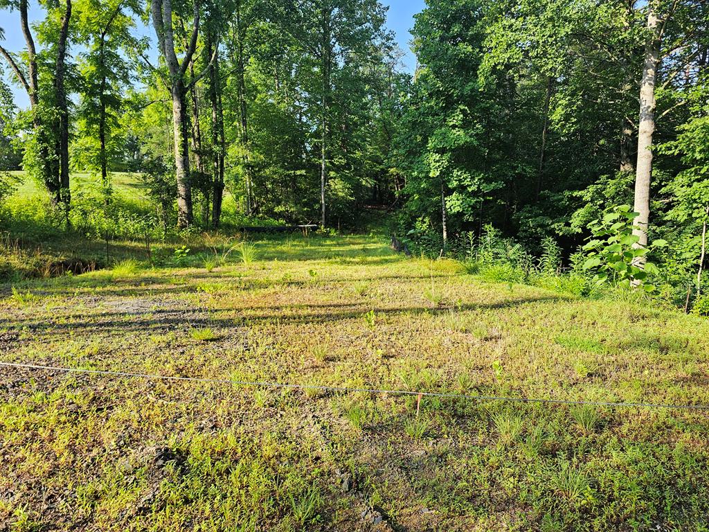 Tbd Porterfield Road Woodlawn, VA 24381 - Photo 29 of 29 Gallery Image 29