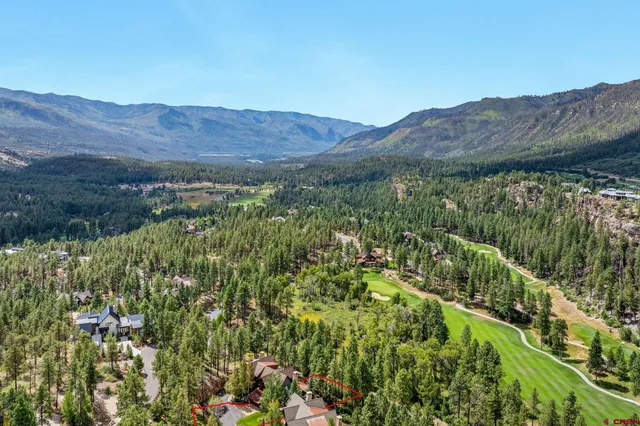 a view of a city with lush green forest