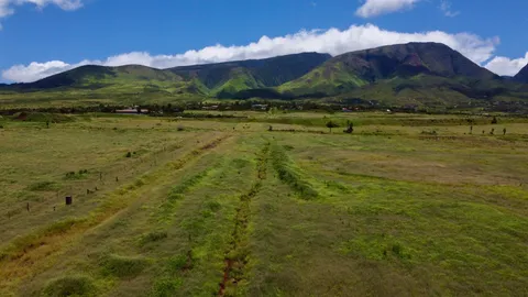 a view of a big yard