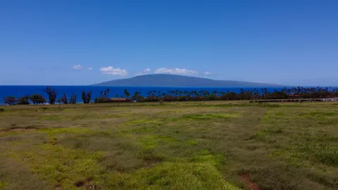 a view of an ocean from a yard