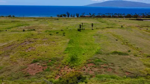 $2,250,000 | 2020 Waianukole Street, Unit 1, Lahaina, HI 96761