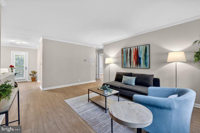 4626 28th Road South, Unit D Arlington, VA 22206 - Photo 14 of 32 Gallery Image 14