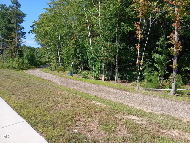 a view of a yard with plants and trees