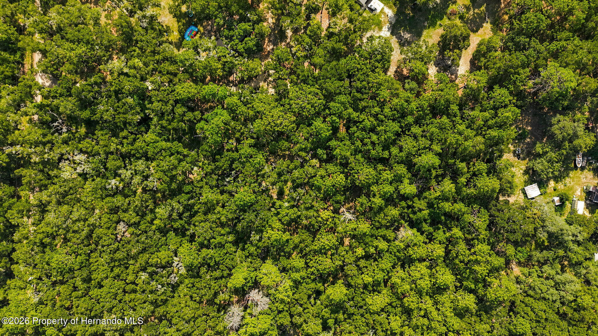 0 Lonesome Road Brooksville, FL 34601 - Photo 7 of 11 Gallery Image 7