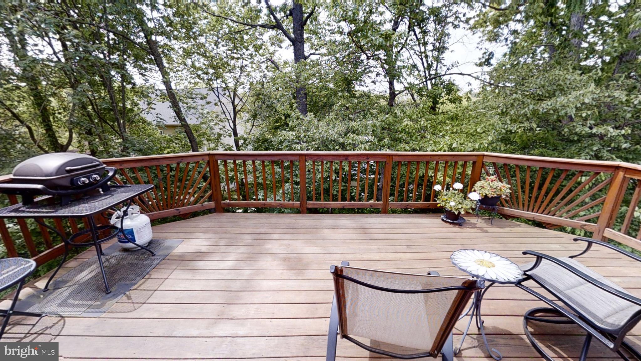 20627 Cutwater Place Sterling, VA 20165 - Photo 19 of 35 TREED VIEW