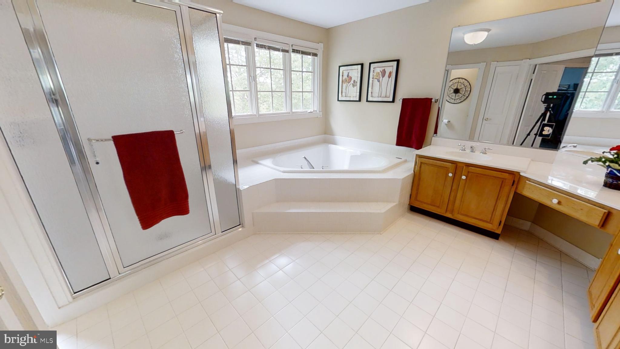 20627 Cutwater Place Sterling, VA 20165 - Photo 24 of 35 MASTER BATH WITH UPDATED SHOWER