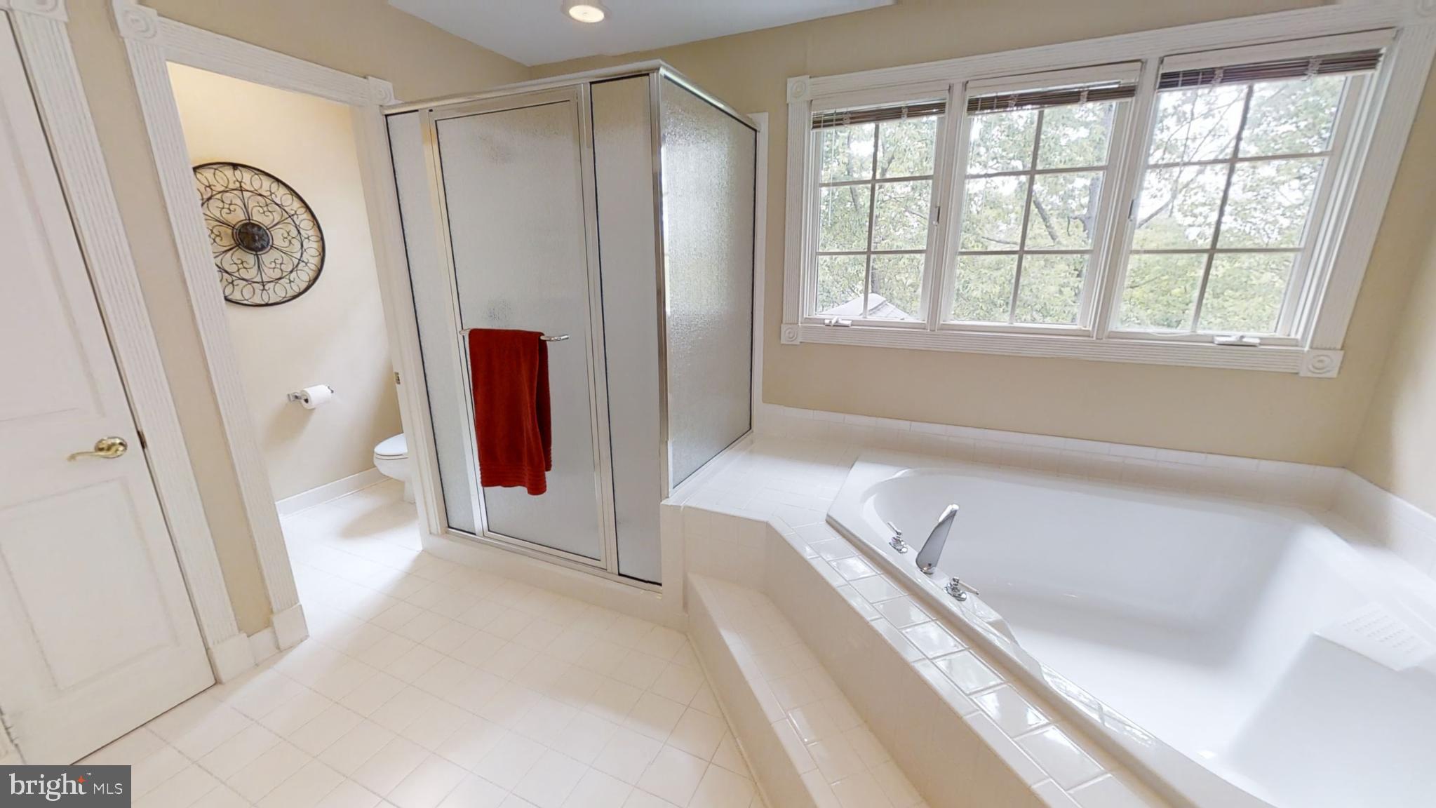 20627 Cutwater Place Sterling, VA 20165 - Photo 25 of 35 LIGHT FILLED - GARDEN TUB