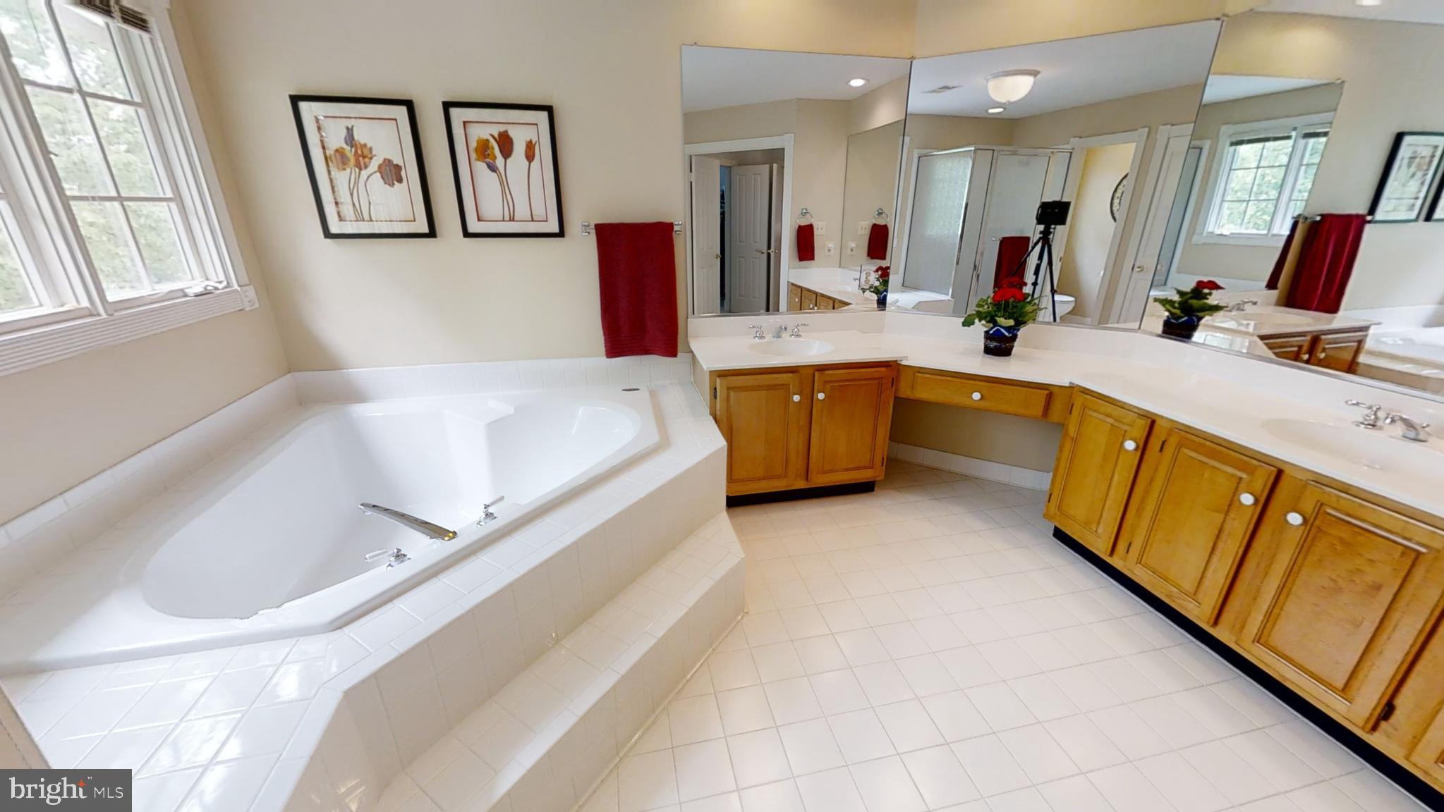 20627 Cutwater Place Sterling, VA 20165 - Photo 26 of 35 MASTER BATH