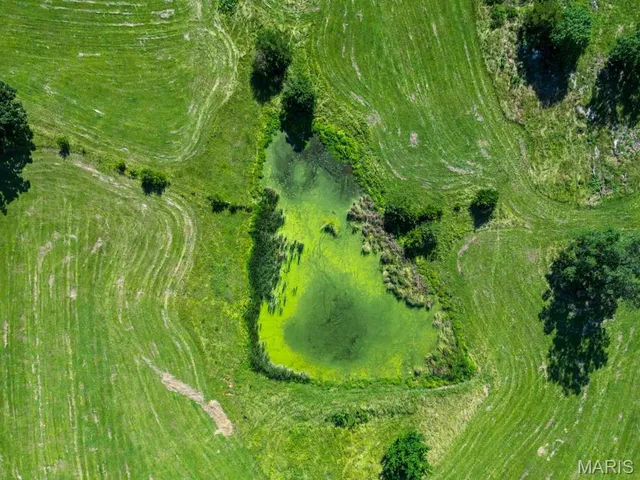 $295,000 | 18549 State Road, Richland, MO 65556