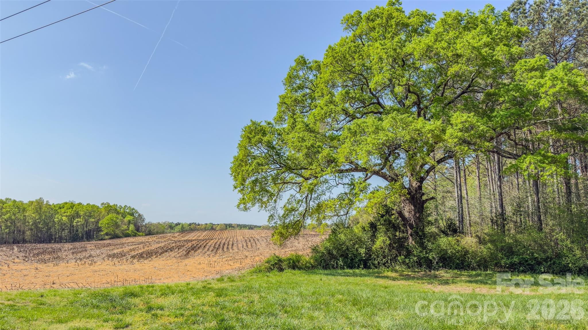 17643 Efird Road Albemarle, NC 28001 - Photo 14 of 47 Gallery Image 14