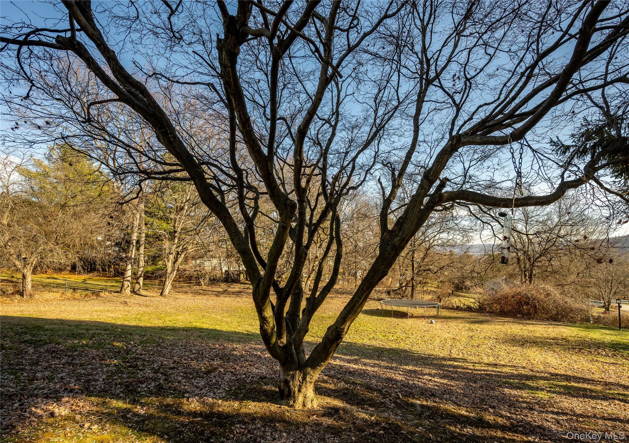 76 Derick Drive Fishkill, NY 12524 - Photo 26 of 27 a view of a yard with trees