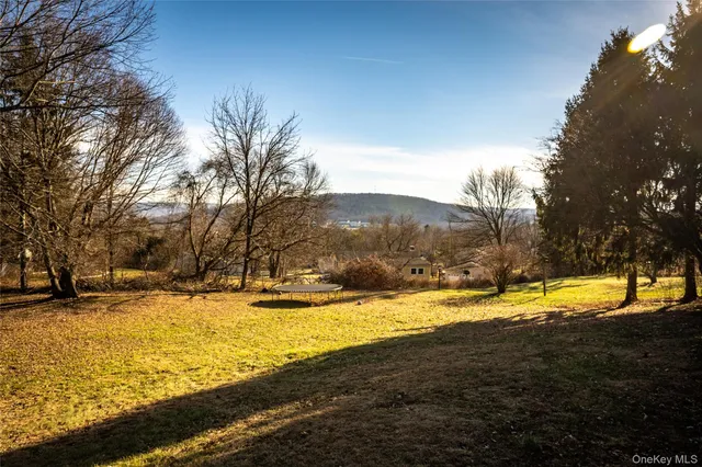 a view of an swimming pool with a yard
