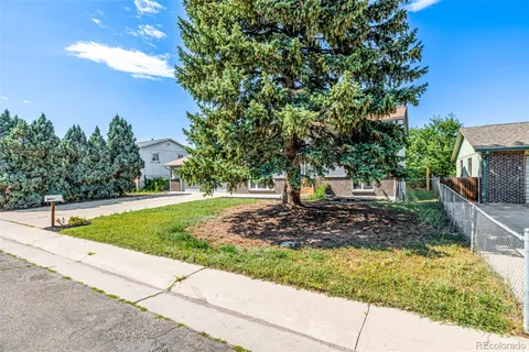 a view of a yard with plants and trees