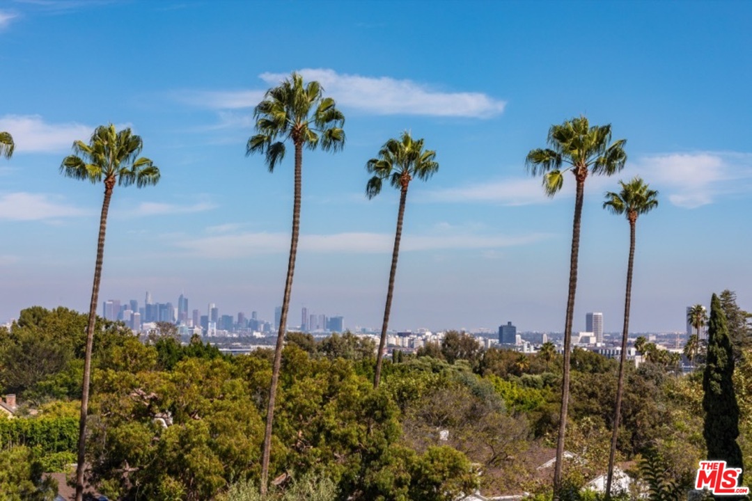 911 Foothill Road Beverly Hills, CA 90210 - Photo 21 of 21 a view of a garden with a plant