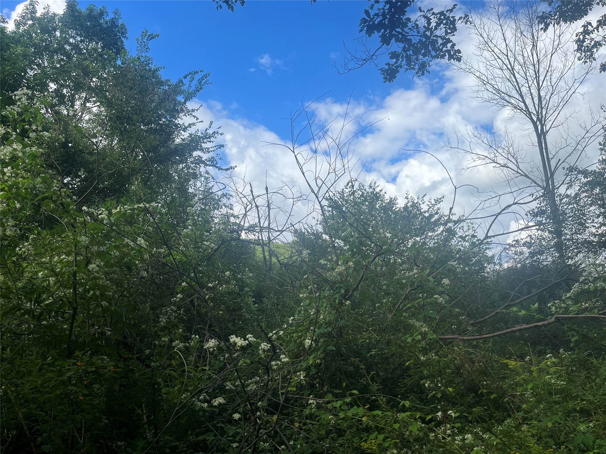 878 Cafferty Road Harpursville, NY 13787 - Photo 20 of 23 Gallery Image 20