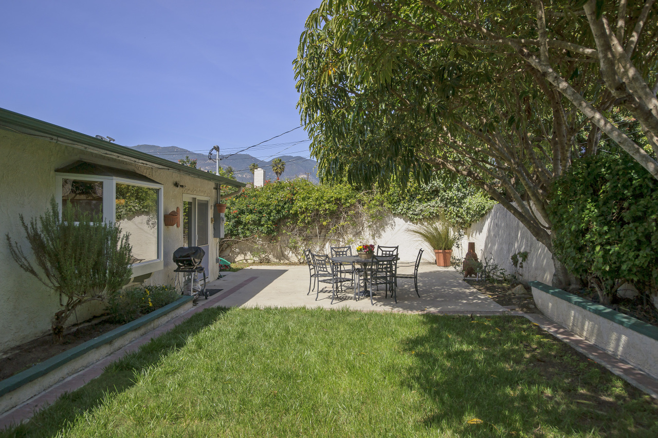 Back yard/Patio