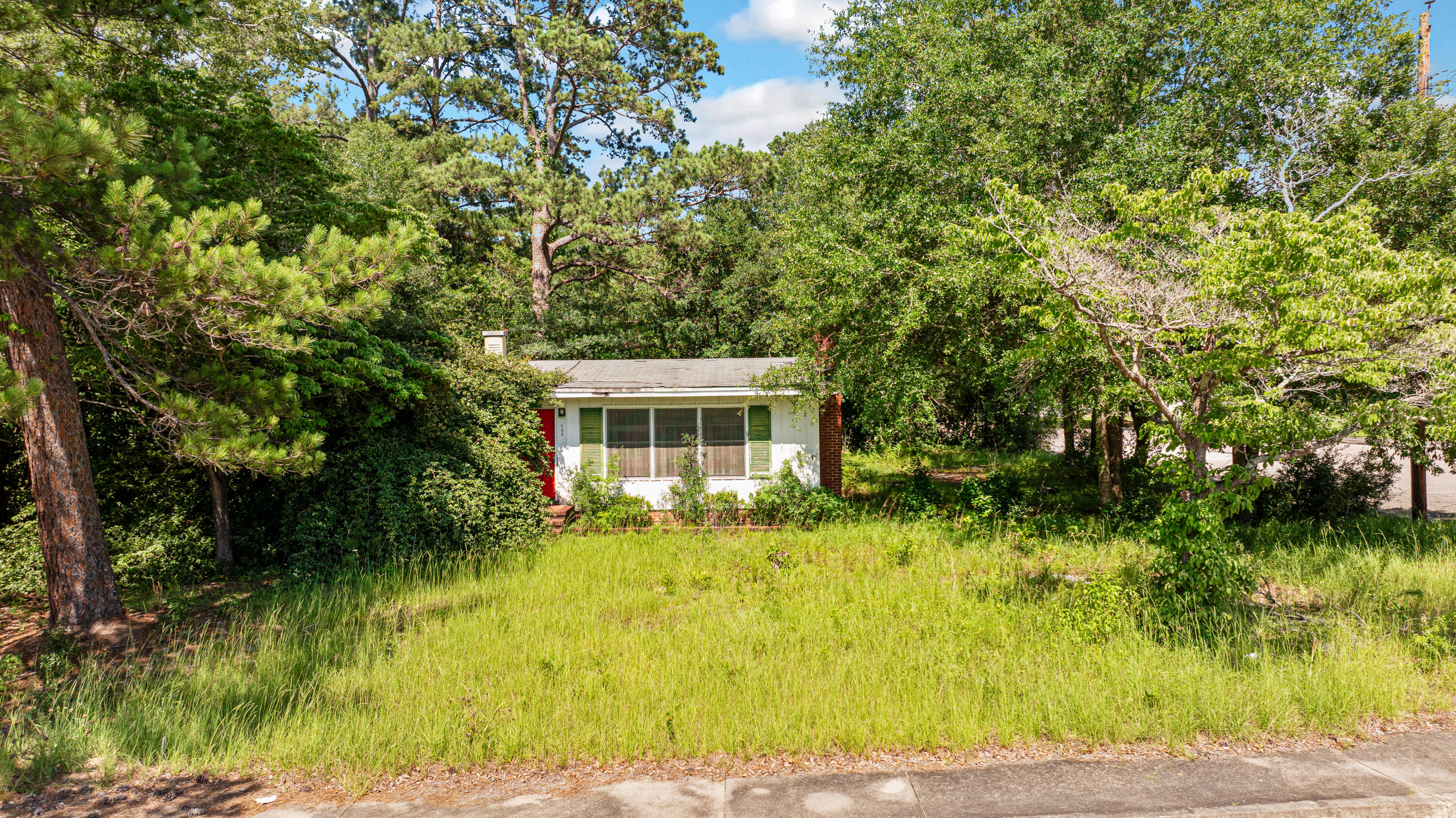 600 Virginia Street Kingstree, SC 29556 - Photo 2 of 13 600VirginiaSt.NicoleBurbagePhoto-1